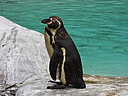 dscn1115.jpg