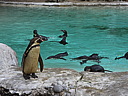 dscn1116.jpg