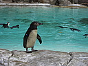 dscn1117.jpg
