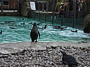 dscn1118.jpg