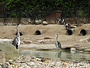 dscn1122.jpg
