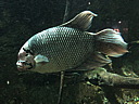 img_4032.jpg