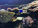 img_4033.jpg